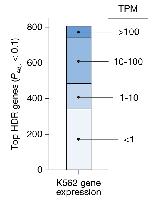 Neville Sanjana tweet media