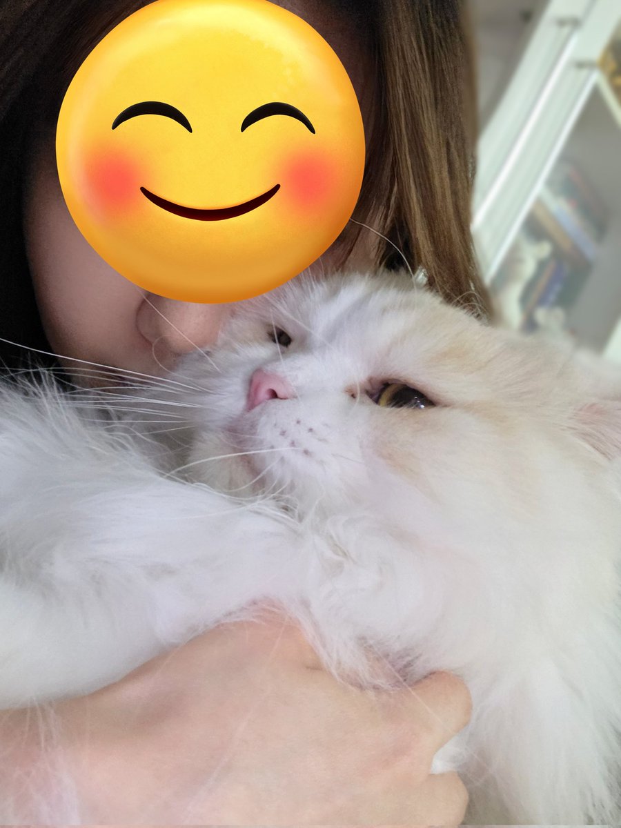 I think...i can too🐱🤣 <a href="/biblesumett/">Bsumettikul</a>