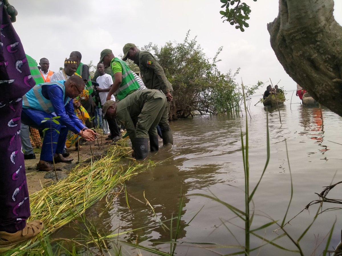 Luttah Aluora tweet media