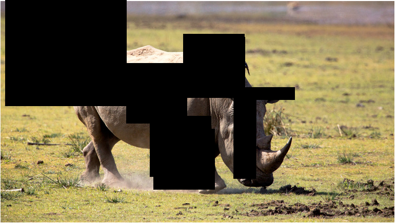 Guess the animal for $100, wrong answers only!
