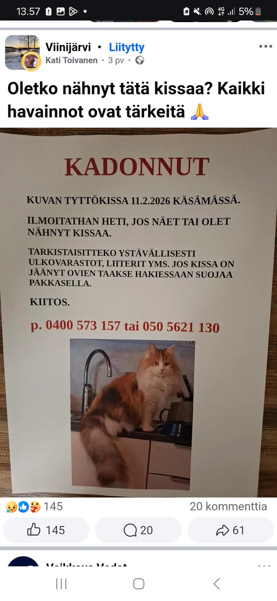 JP_Latti's tweet photo. #Viinijärvi #Liperi : Kadonnut kissa 🥺 https://t.co/3QNM0sWVyA