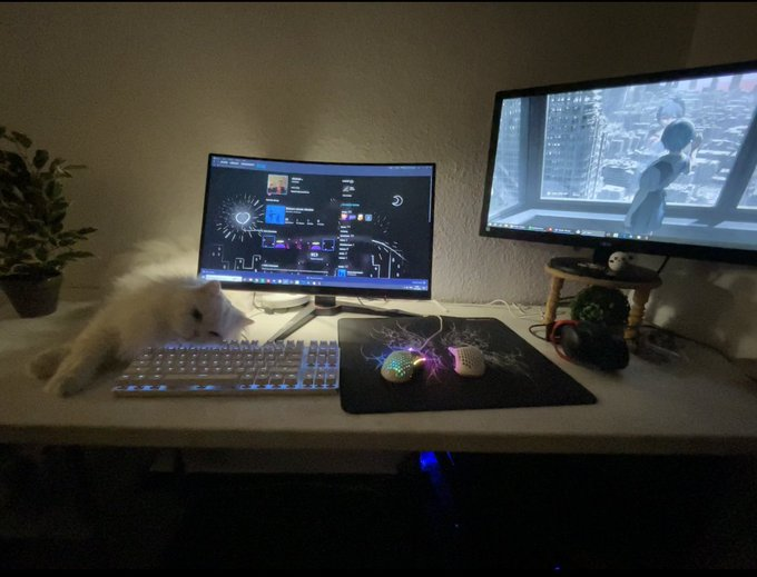 Pro Setups tweet media