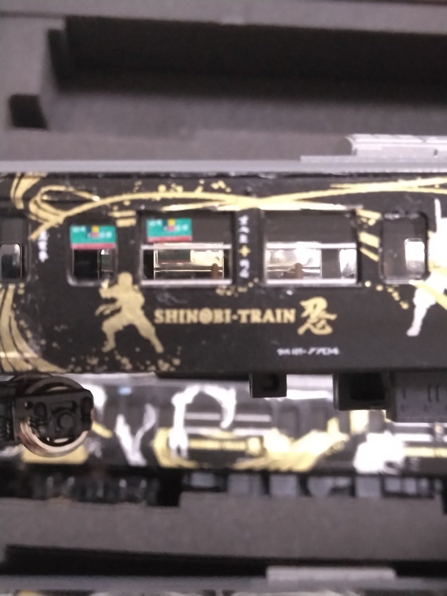 ぽちフェスで買いました #113系 それと高額商品としてショーケースの中