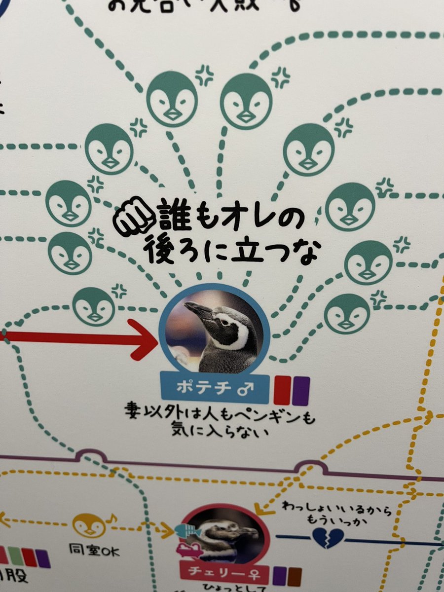 swemy_ltr310's tweet photo. ゴルゴっぽい子もいて良き https://t.co/LIwvyz8PxC
