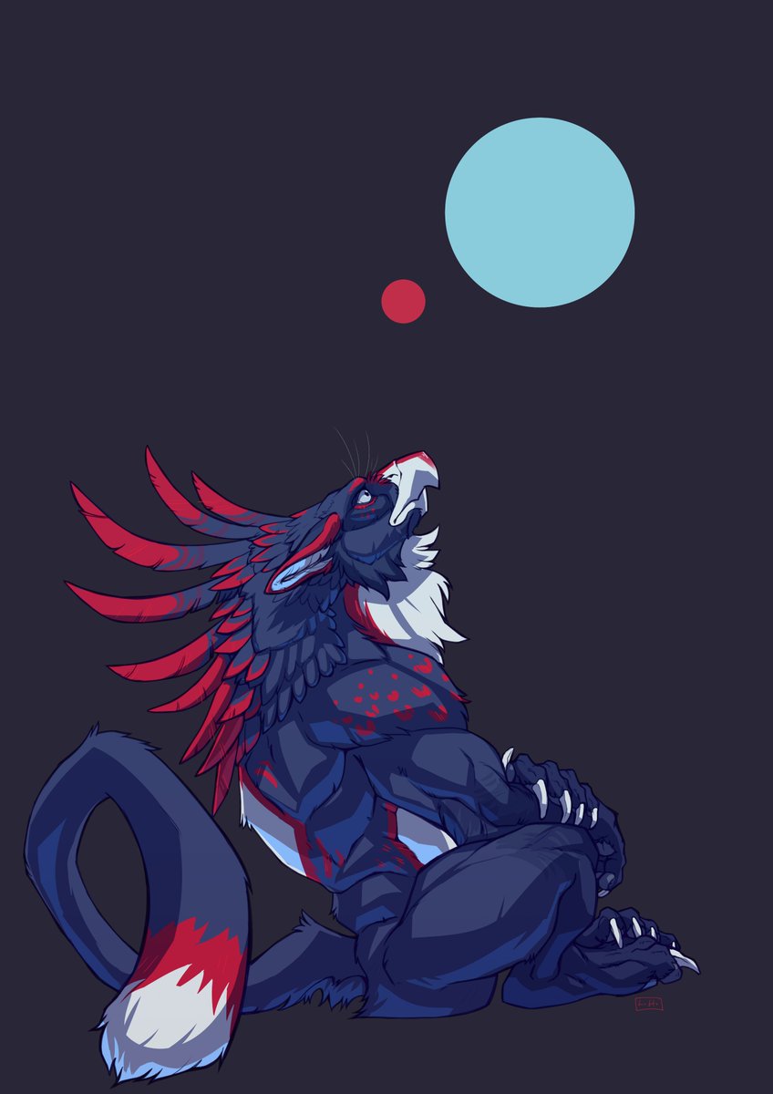 Nera Forest🇳🇿 tweet media