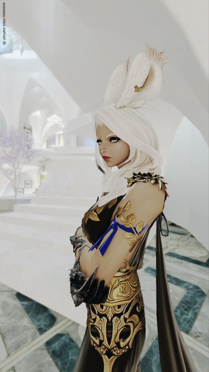 🐰 #白夜の宮殿 🐰 しばらくお邪魔します✨ #ヴィエラ #Viera #1derViera