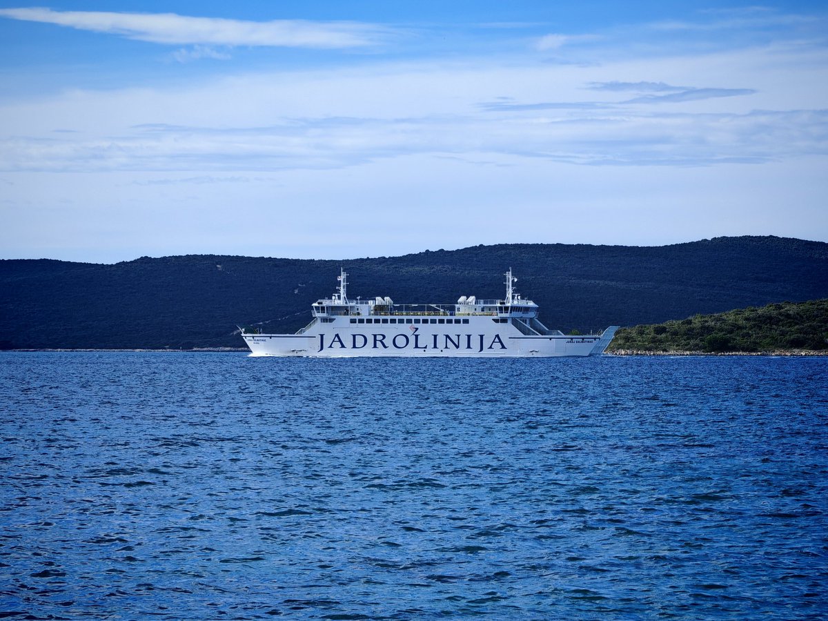 More je izabralo put
Ban također!
🍯