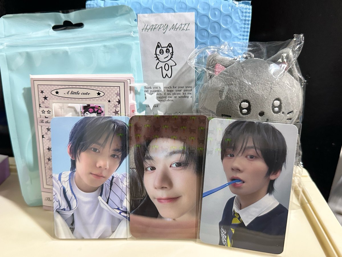 svnyllln's tweet photo. 💌 #toeicollects @toeiyllln

may dumating na pusa 🥹 tysm again @riven_rin !!!

 #rivproof https://t.co/MetWnwmdLP
