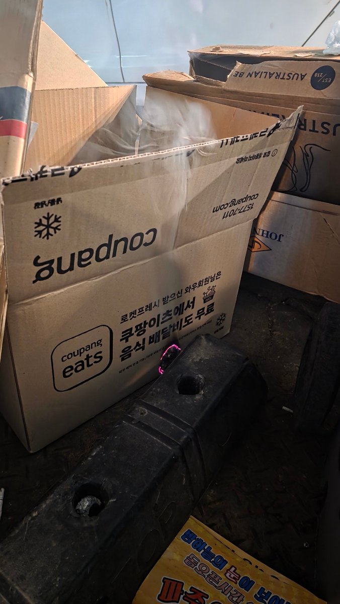 べーしっく・いんかむ | ゲーム & 猫好き (@beesikkuinkamu) on X