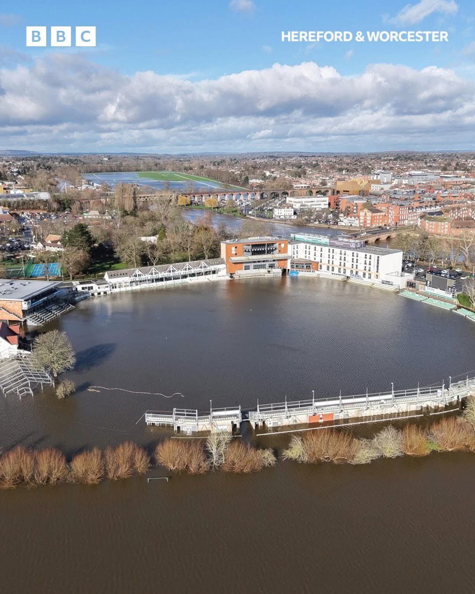 Matt Daubney 🏏 tweet media