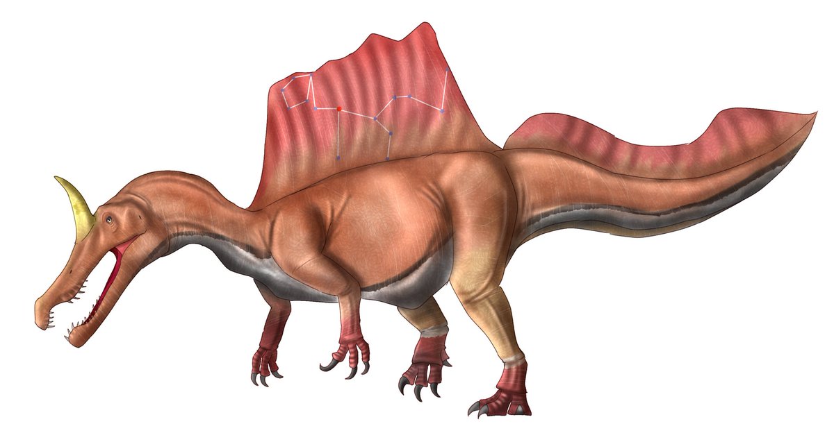 Spinosaurus mirabilis /スピノサウルス・ミラビリス （カラーモチーフ