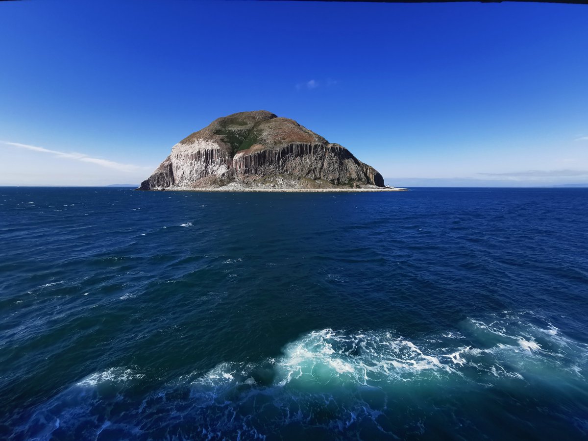 travel | cruise | world tweet media