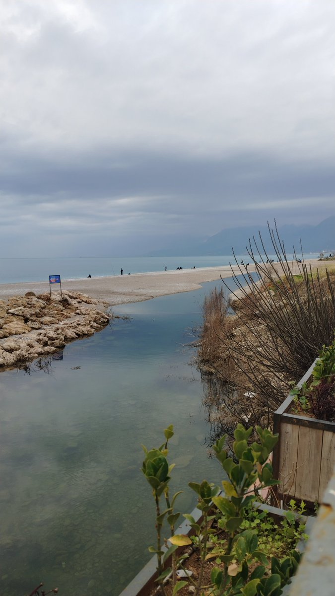 mussscuuulus 💬 (@musculusssaepe) on Twitter photo 