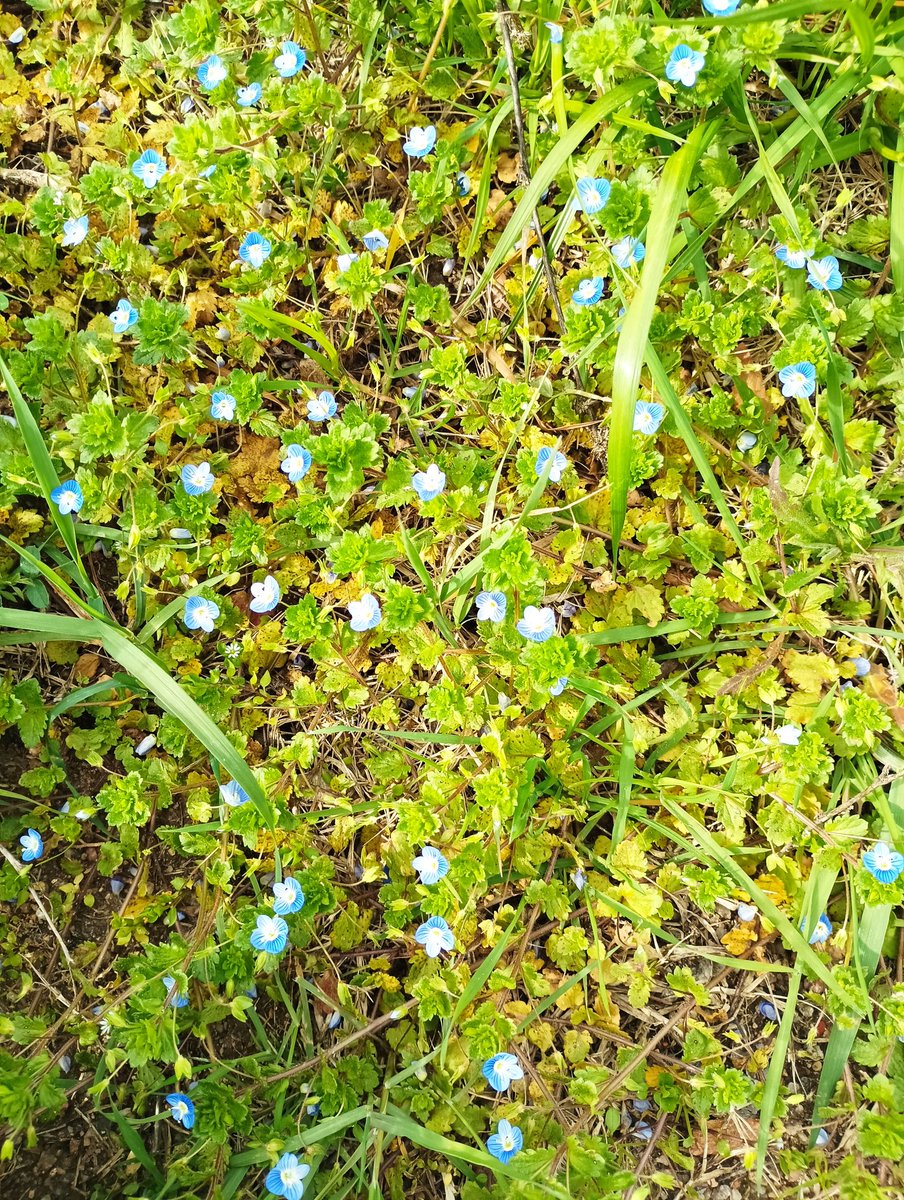 MariaLuz (@cosculuz) on Twitter photo 