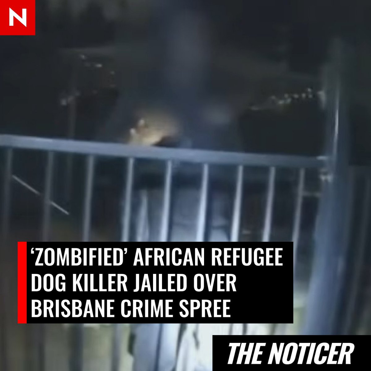 NoticerNews's tweet image. An African refugee has been jailed for killing a family's dog during a Facebook Marketplace robbery and home invasion in Brisbane.