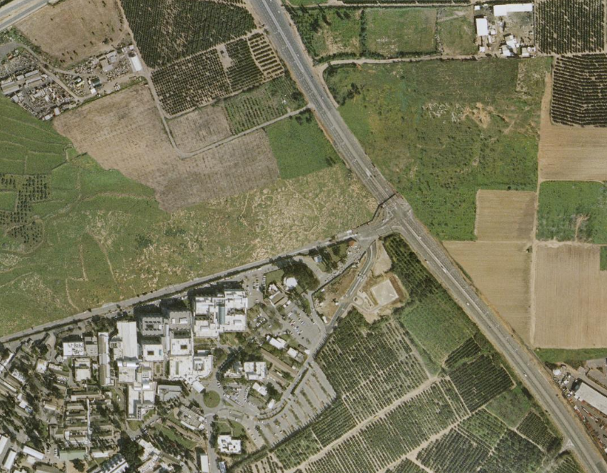 David Lisovtsev tweet media