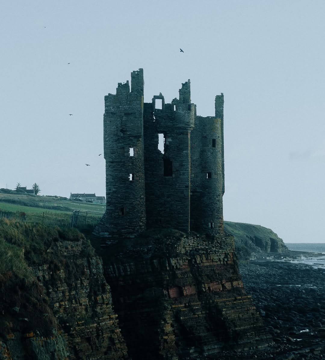 dimebeargas's tweet image. RT @visualsofearth1: Scotland