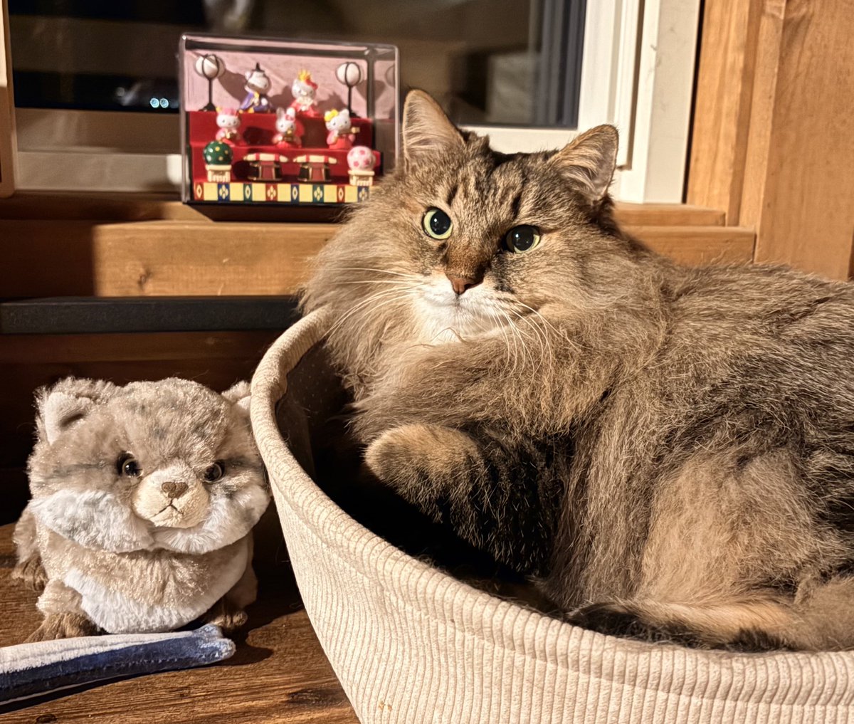 全然宣伝できてないですが、23日(月・祝)は「そうさくマーケット」に出展いたします！

うばさんのために頑張ってくるからねぇ☺️