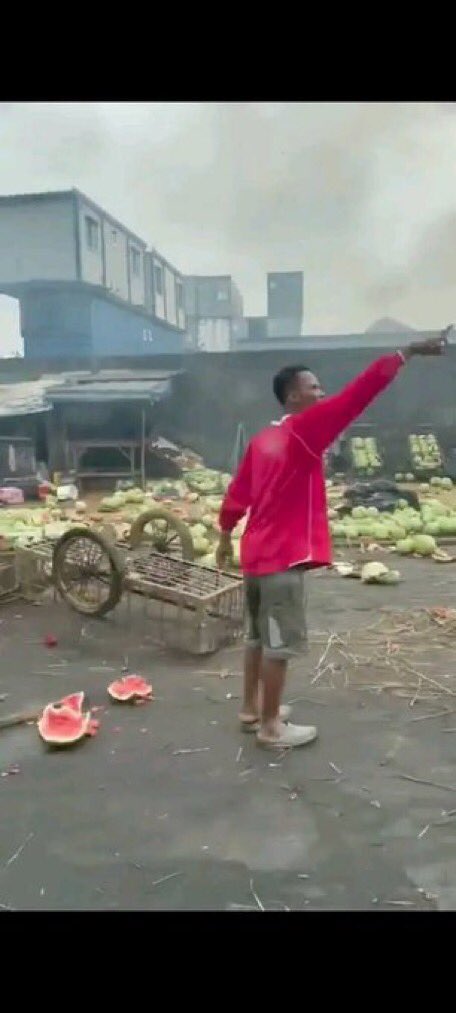 Nwo-Diali 𓃵 tweet media