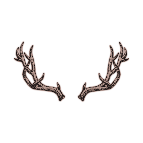 ⁣ ﹙ # ⁣ ⁣ ⁣⁣𝓽ℎ𝑒⁣ ⁣ ⁣𝔂𝑜͟𝑢͟𝑛͟𝑔͟ ⁣ ⁣𝒔𝑡𝑎𝑔 ﹚ tweet media