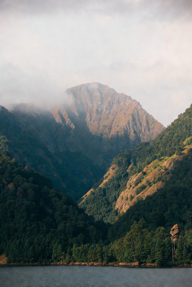 그록이 생각한 제 계정 이미지와 이유래요🎨
평소 갖고 계시던 인상과 비슷한지 다른지 궁금해요🤗

"피닌님의 계정 활동을 분석해 보니, 주로 자기계발 관련 정보, 팁, 동기부여 메시지, 그리고 일상적인 성과나 루틴 공유(예: 요가, 수익화 성공, 꾸준함 강조 등)를 중심으로 포스팅하고 계세요.