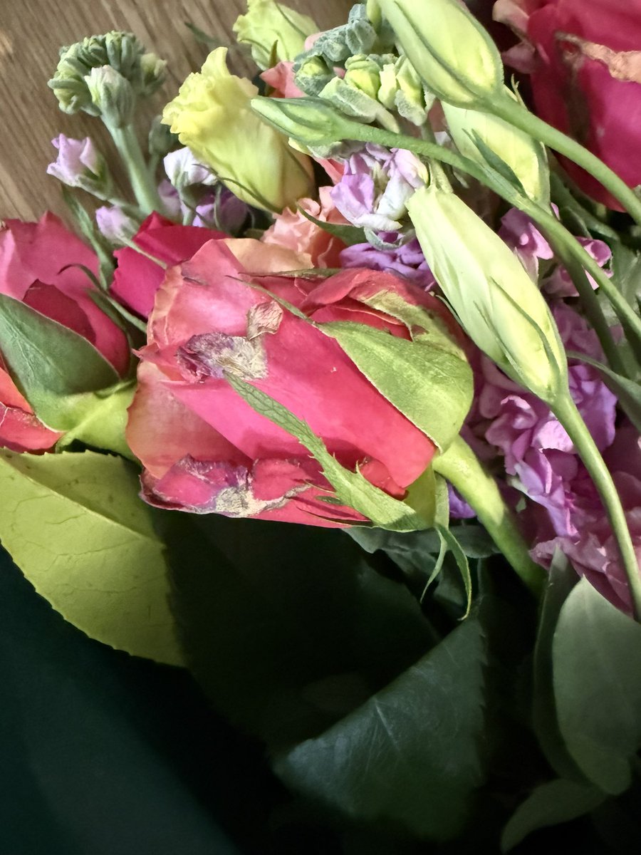 Louise ♥ tweet media