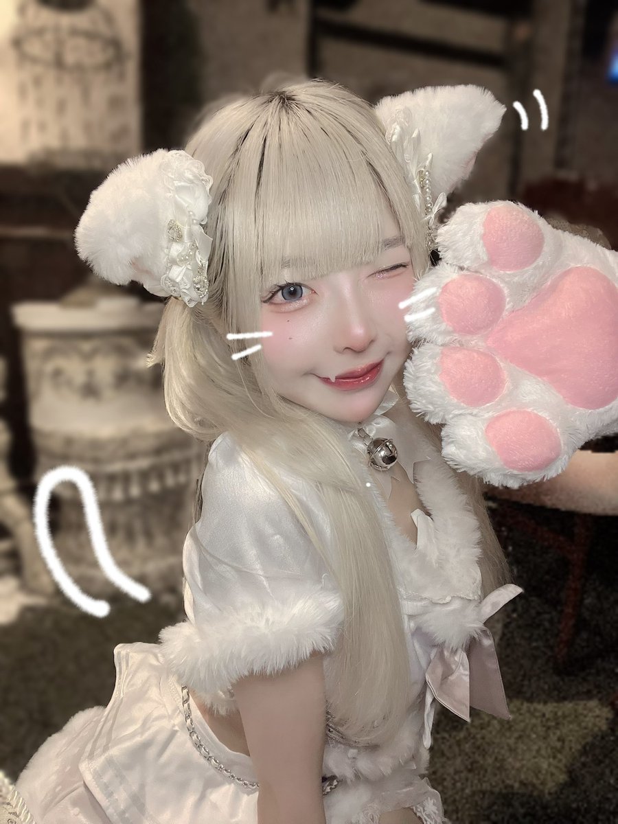 Post by 夢眠えむち【2/25🎂】 on X: ねこいます🐱