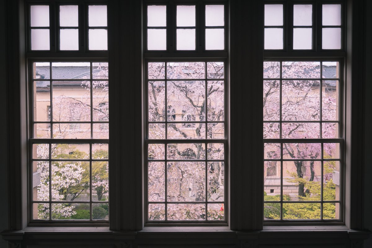 もじもじくん (@mojimojikun55) / Posts / X