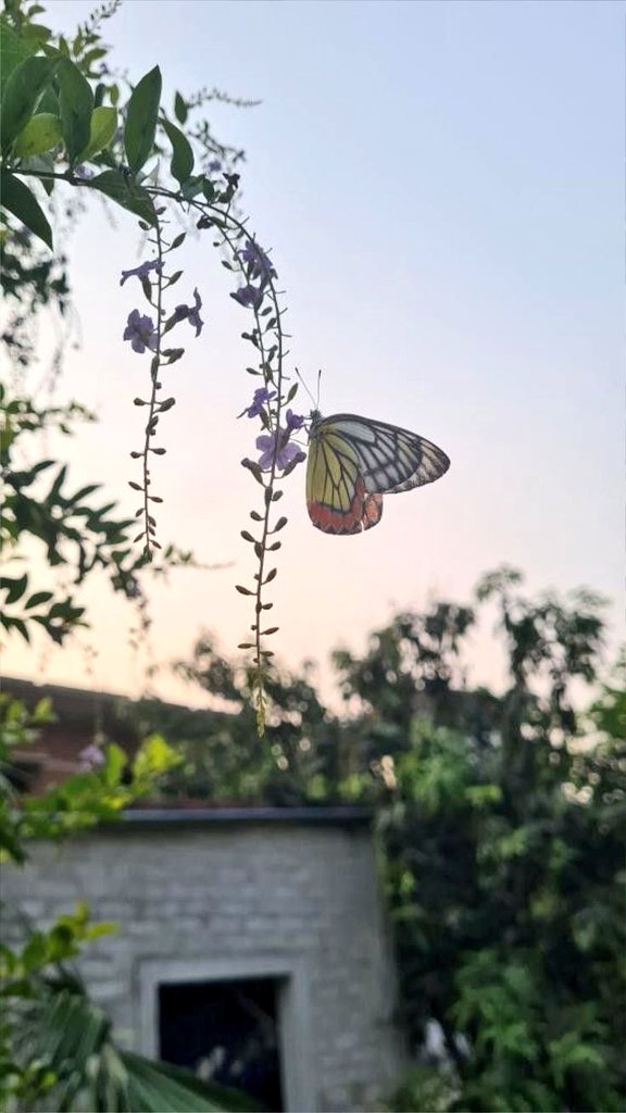 वक़्त की शाख़ से लम्हे नहीं गिरते यूँ ही,
कोई तो बात है जो मंज़र बदल जाता है।

 ~गुलज़ार साहब