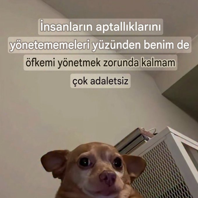 delirebilirim (@delirmemgerek) on Twitter photo 