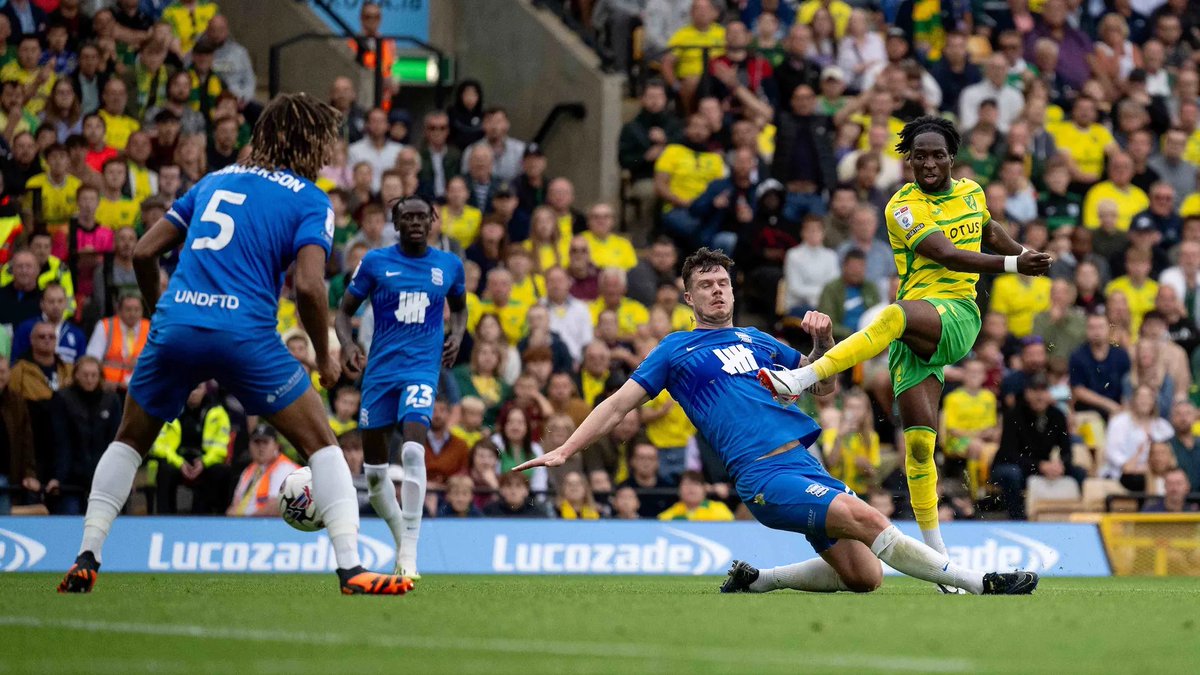 Norwich City Updates tweet media