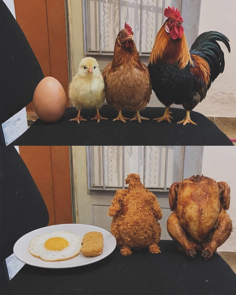 i like food (@messedupfoods) on Twitter photo 