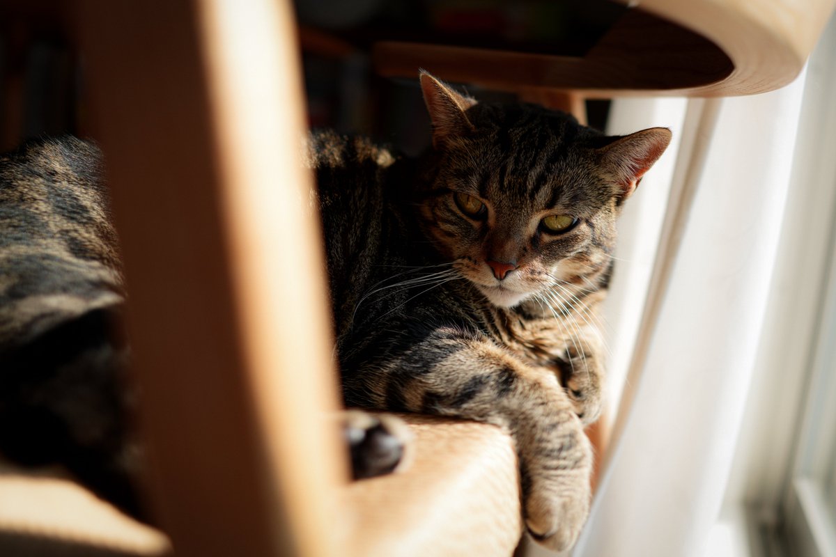 Kunrong Yap tweet media