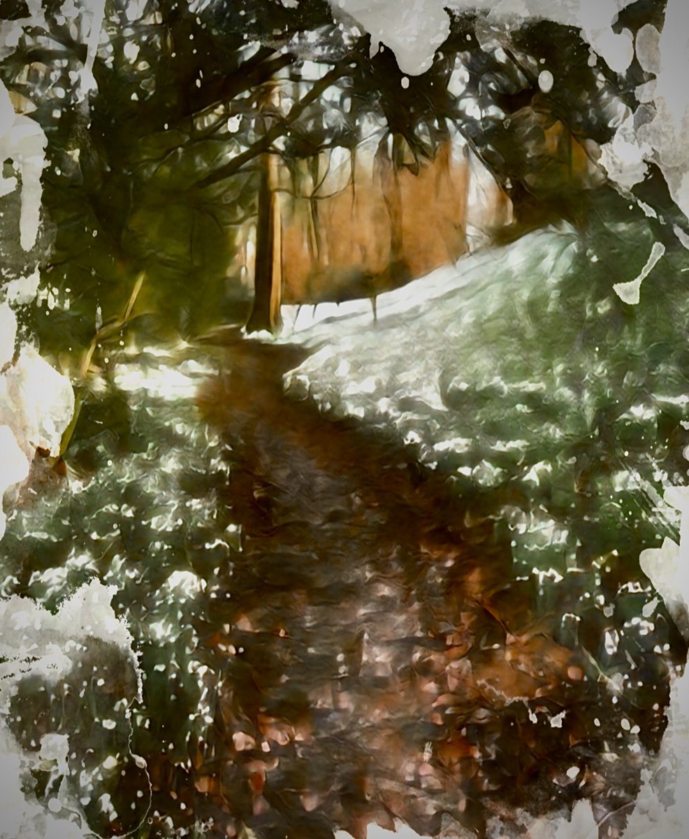 RuthMcDonald1's tweet photo. No it isn’t snow it’s snowdrops all over the woods at the bottom of my garden and the sun is shining hooray! #snowdrops #painting #artwork #artist #paintinglandscape #springontheway #SaturdayVibes #saturdaymorning #SaturdayMotivation #springfever #loveArt #WeekendVibes #sunshine https://t.co/KFW28oSMOf