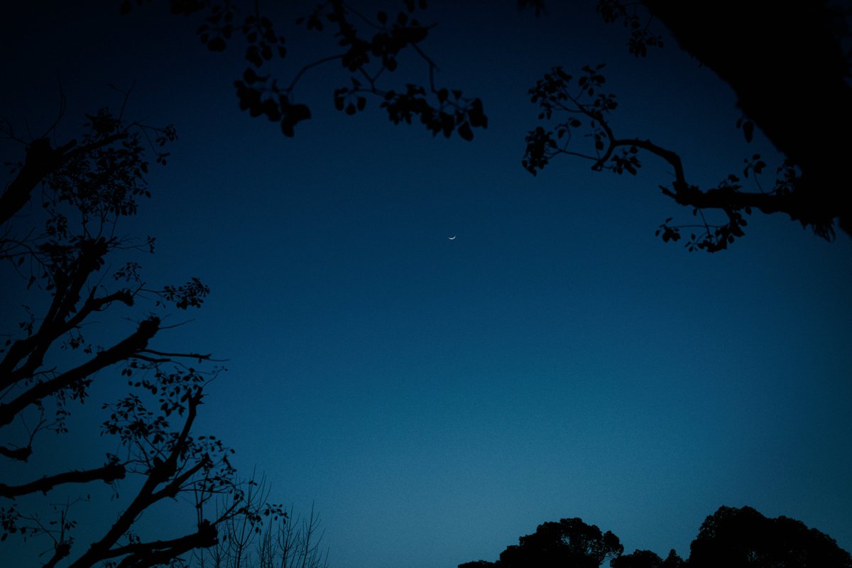 Kunrong Yap tweet media