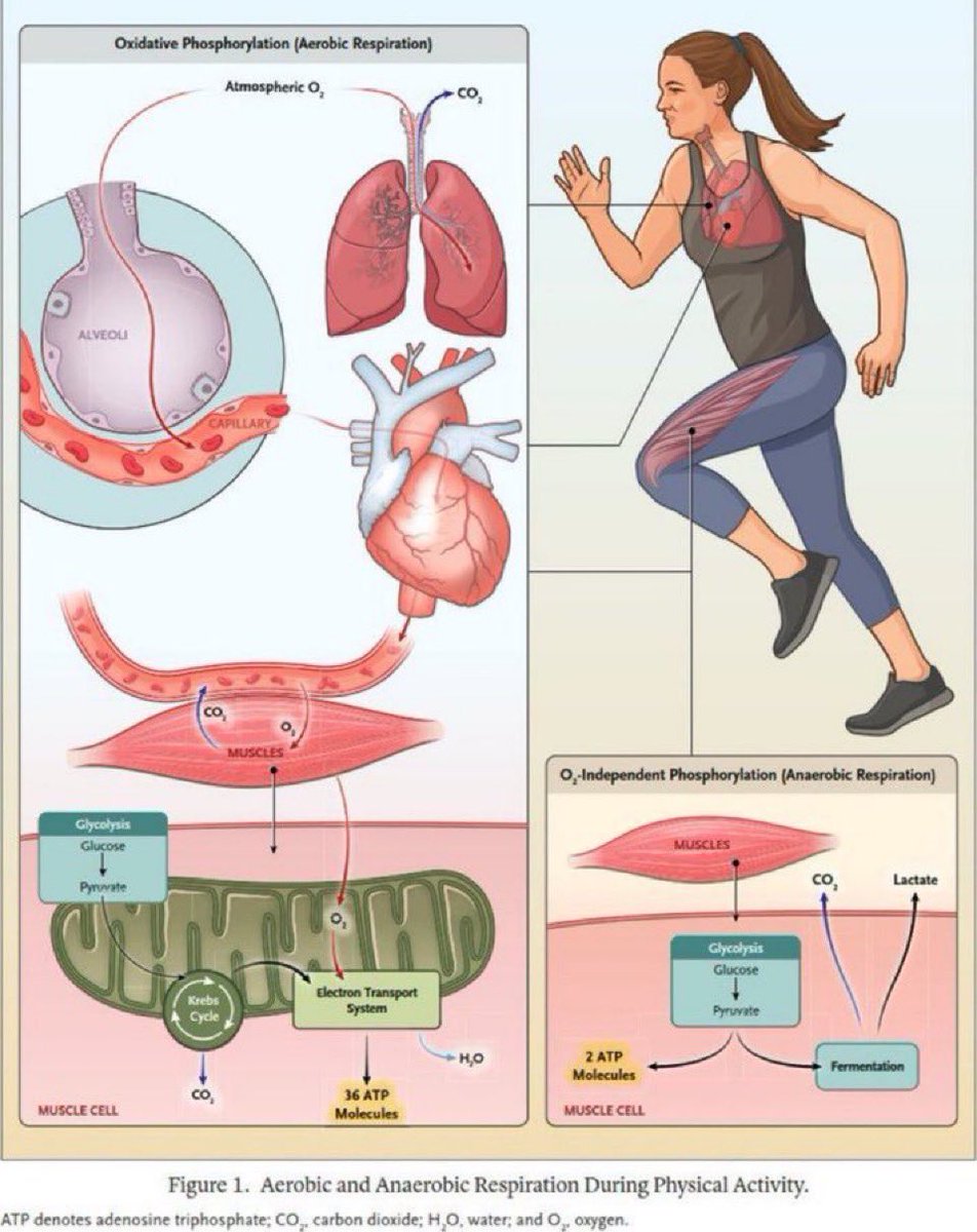 Prof Omid Khaiyat M.D., PhD tweet media