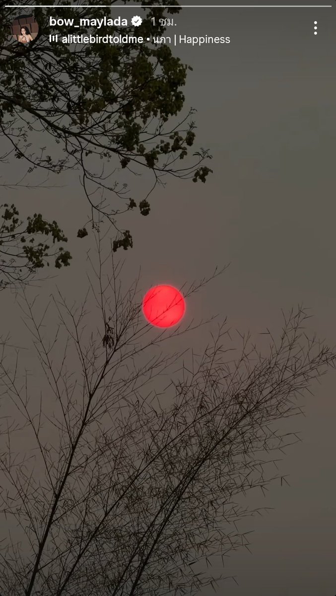 ขออนุญาตมั่นหน้าร้อยเปอร์เซ็นสมิงเขากวางมาแน่!!!