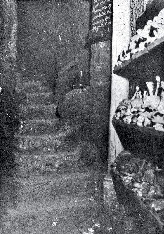 Karine / كارينا ✝️🇧🇻❤️🇵🇸 tweet media