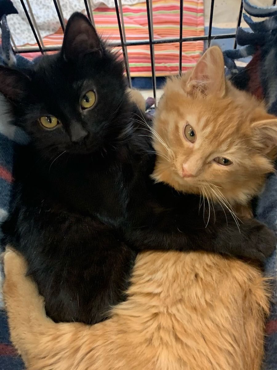 tina🏄‍♀️🌺 (@ushipang) on Twitter photo 