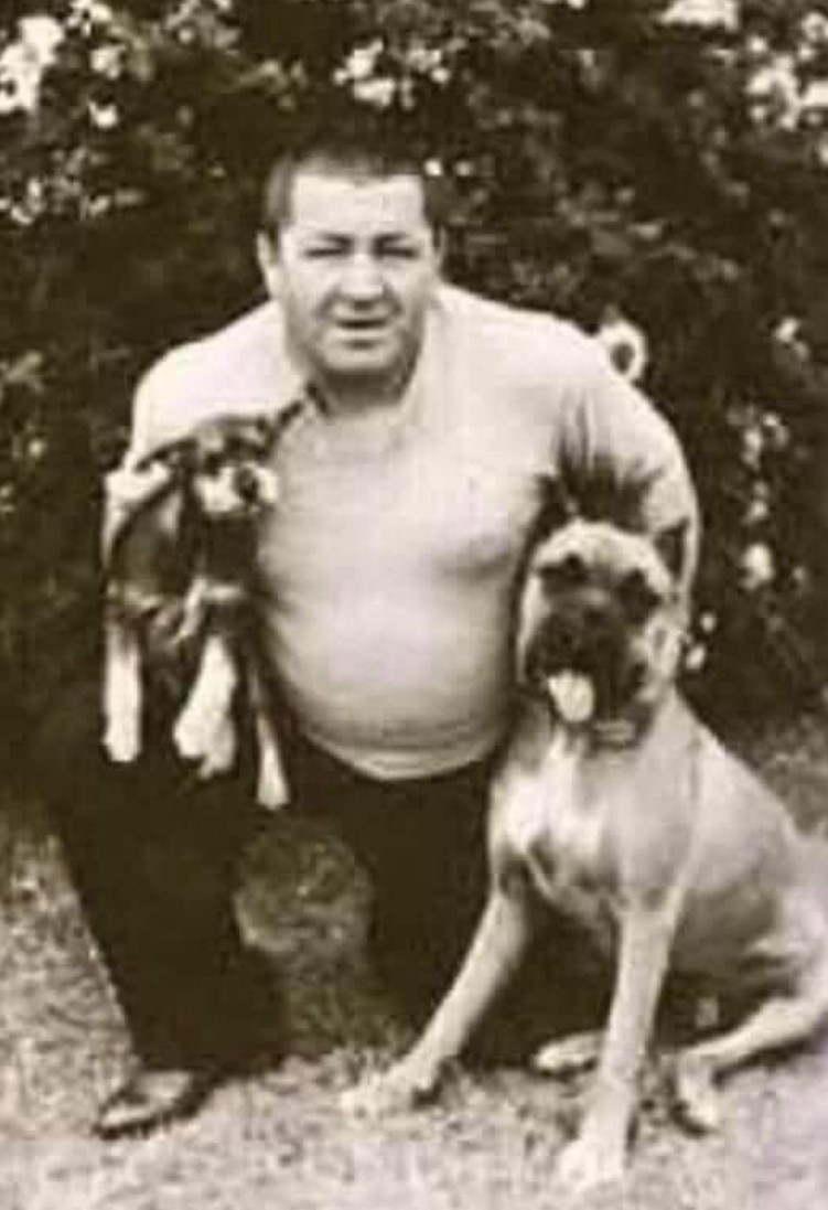 The Dalbo Dog tweet media