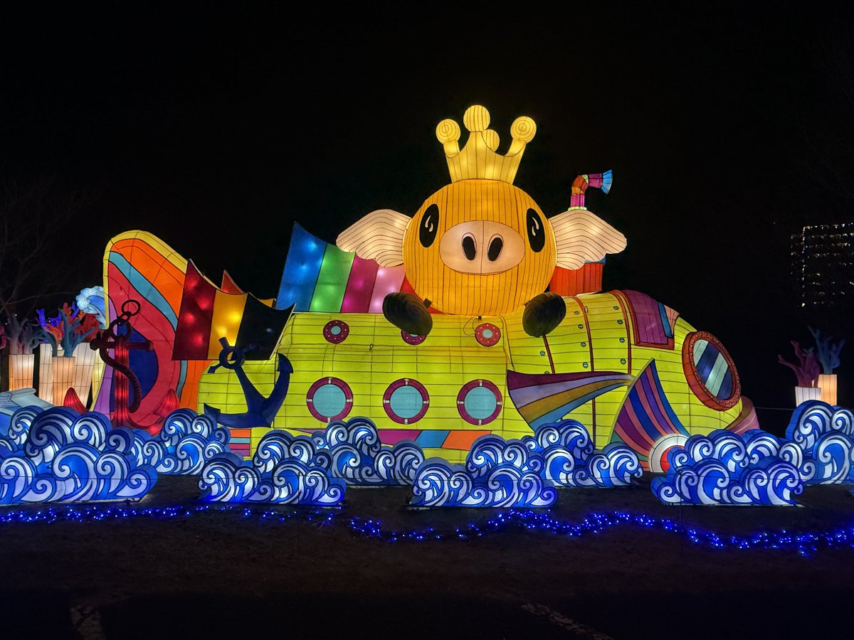 東京ドイツ村のイルミネーションが綺麗だった😊