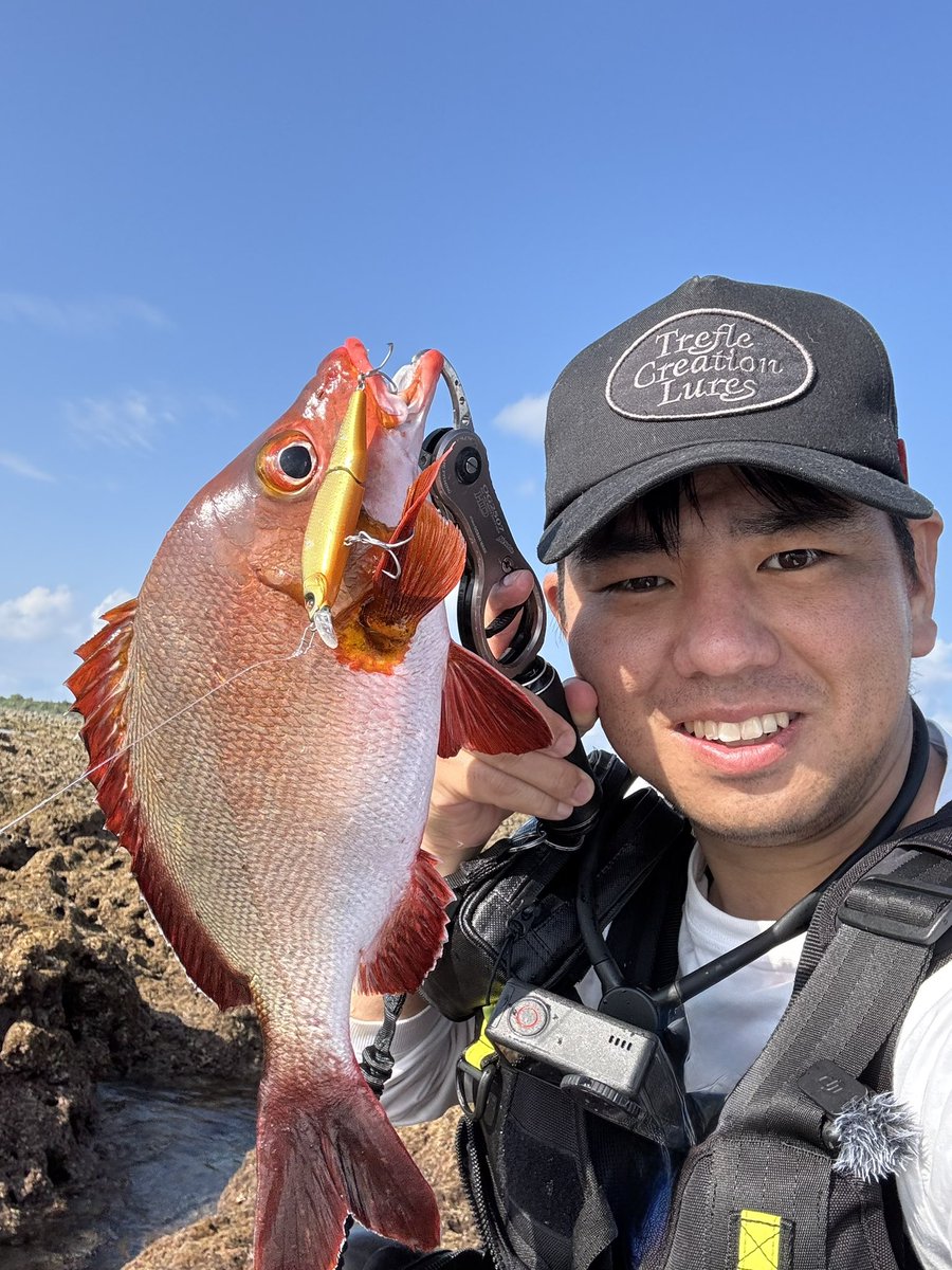 hirotora_818's tweet photo. やっと来ましたよ、この季節☀️
愛しのリーフフィッシング🎣

ラファレア93Sを1.5回転/1秒程で巻いてくると足元でひったくりバイト❗️

フリュージュ93Sは1回転/1秒程で柔らかなS字意識でシャロー差し掛かり際にバイト❗️

マリエラファットは良型ハタがヒットも痛恨の根ズレ…😭
#TREFLECREATION
#RAFALEA93S
#FLUGE93S
#PR