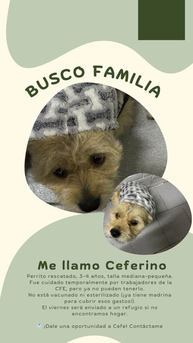 Edgardo Buscaglia (@edgardbuscaglia) on Twitter photo 