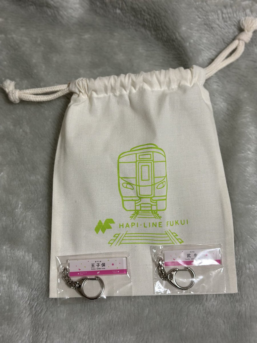 帰ったら久々に買った鉄道グッズ届いてた。 前は寝台特急のラストラン