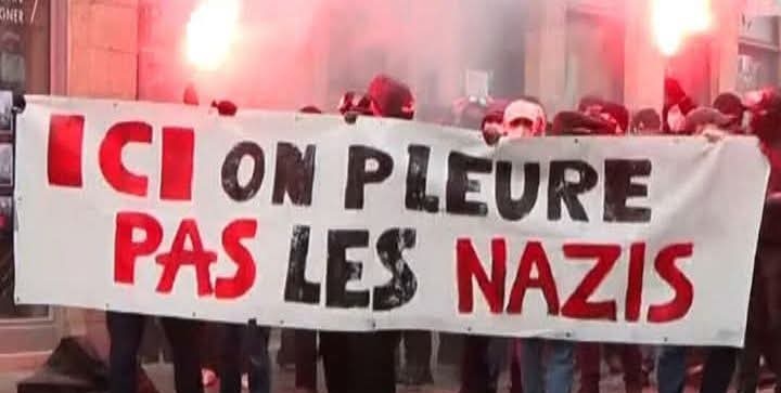 Paul Dohen 🐢🔺🍉 tweet media