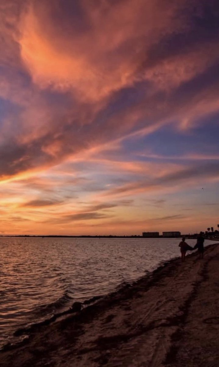 Floridian Creations tweet media