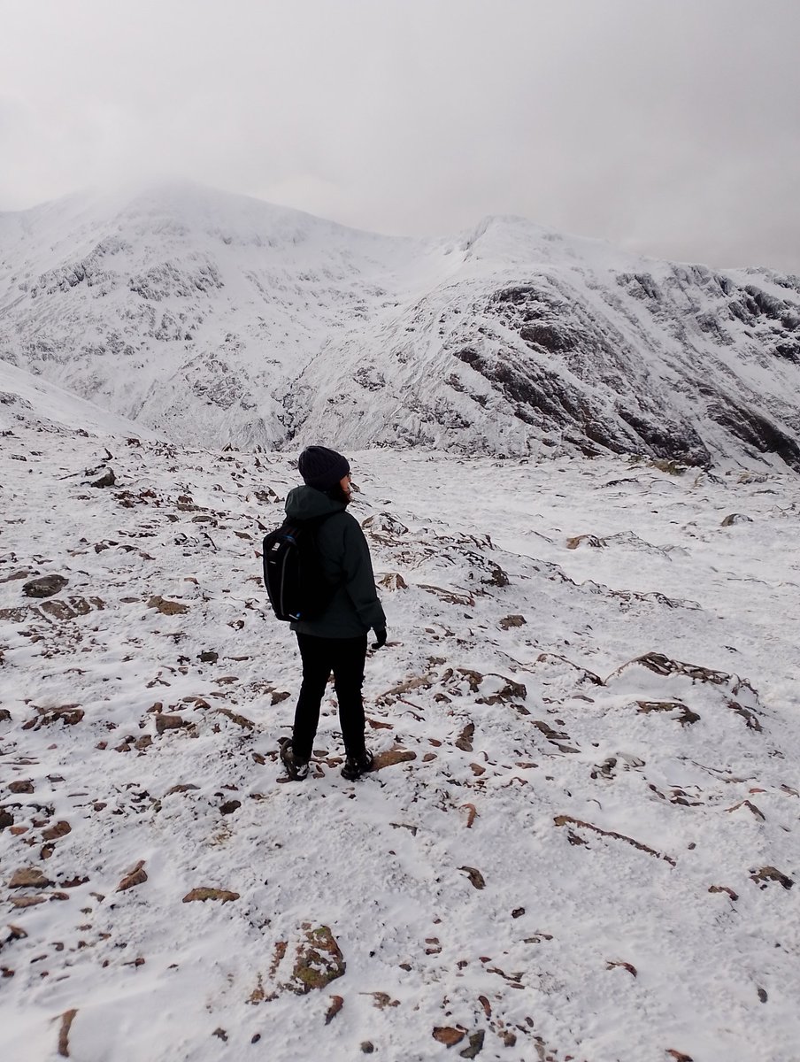 TorqueF1 tweet media