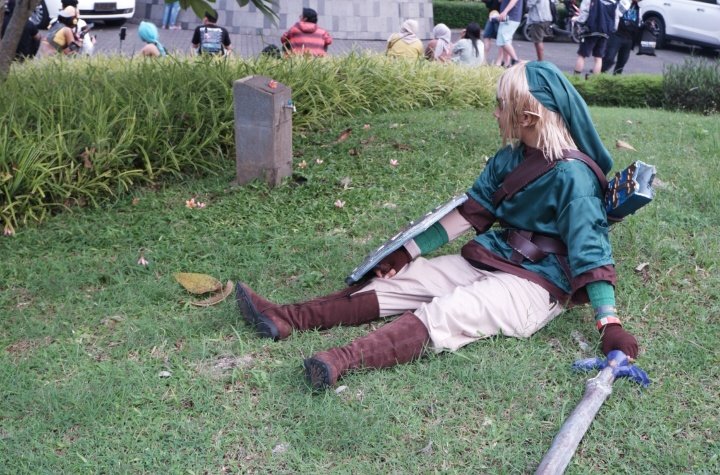 Link in park 🌹 HAPPY 40th ANNIVERSARY!!! #ゼルダの伝説40周年