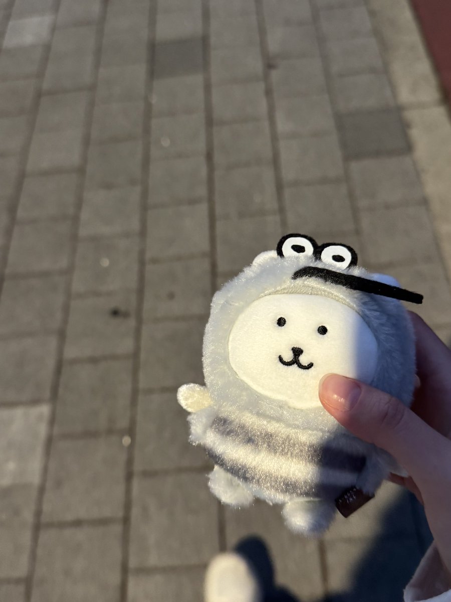 dolgom11720's tweet photo. 날이 따뜻해져서 그런지 모기가 돌아다니더라곰요.. https://t.co/haqJo4iLwg