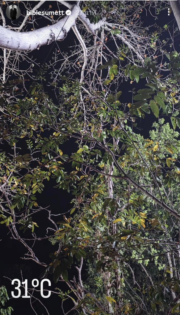 ป่านางเสือ อังกอร์ เพชรพระอุมา โก๊ะจ๋าป่านะโก๊ะ ไกรทอง สุดสาคร  ถ่ายเรื่องไหนคุณบี๋ จิ้มมาให้ป้าสักเรื่องลูกป้านอนไม่หลับ  
#BibleWichapas #bsumone